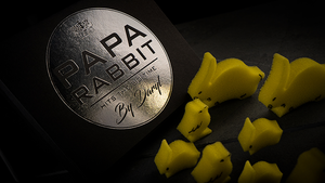 Papa Rabbit Hits The Big Time (Gimmicks and Online Instruction) by DARYL