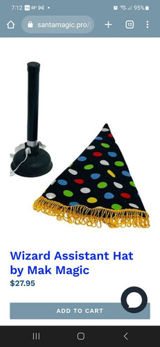 Wizard Assistant Hat