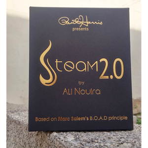 Paul Harris Presents Steam 2.0 by Ali Nouira