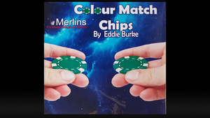 COLOUR MATCH CHIPS by Merlins