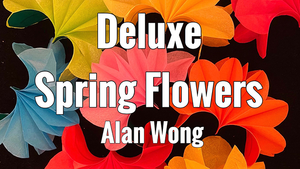 Deluxe Spring Flowers by Alan Wong