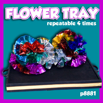 Flower Tray, 4 Time