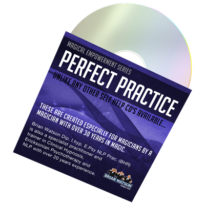 Perfect Practice (Empowerment Series) by Brian Watson