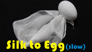 Silk to Egg - Slow (Motorized) by Himitsu Magic