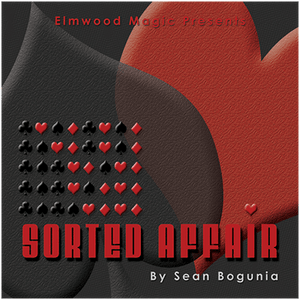 Sorted Affair (2013) by Sean Bogunia