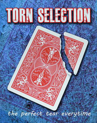 Torn Selection, Steel - Bicycle