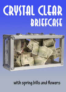 Crystal Clear Briefcase w/ Bills & Flowers