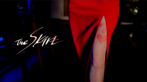 The Skirt by Nimble Mind