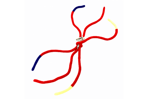 The Winner is... (Rope Trick)